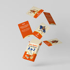 Divine Alphabets Flash Cards HINDI VERSION